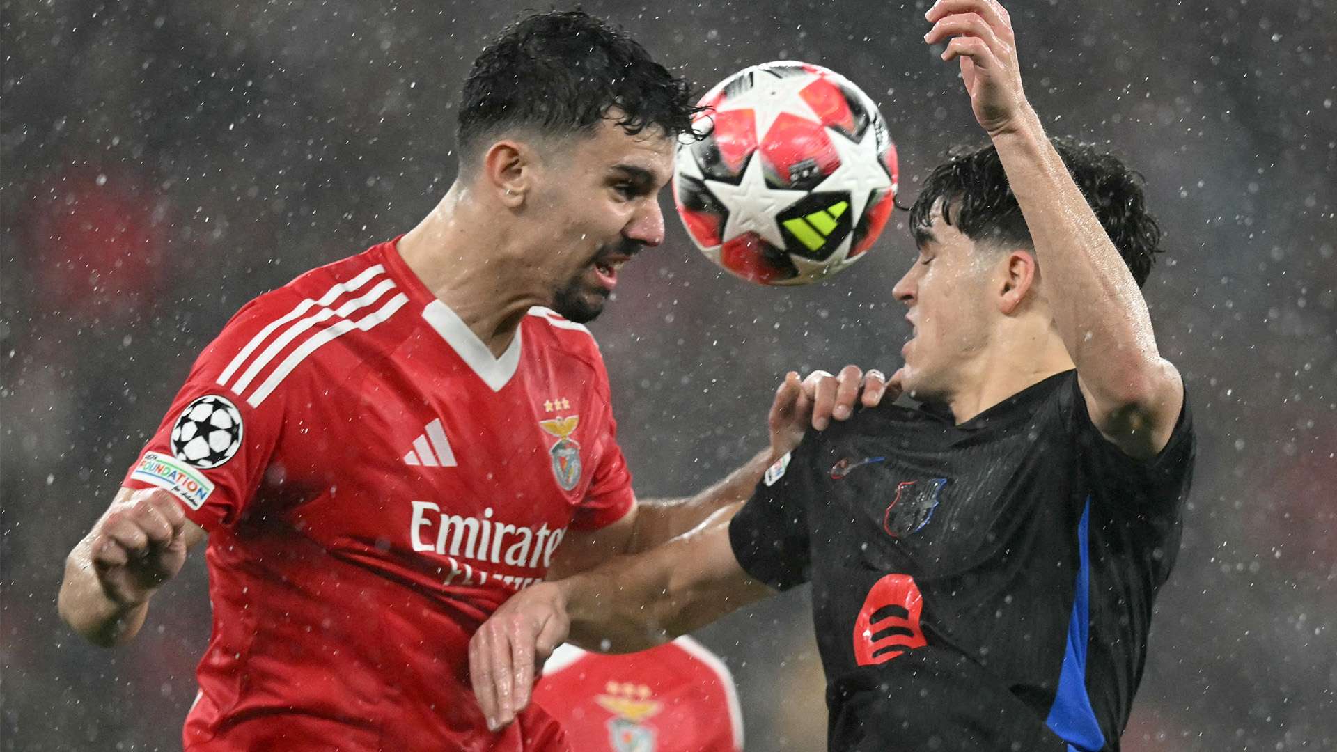 港澳单牌车 港澳单牌车