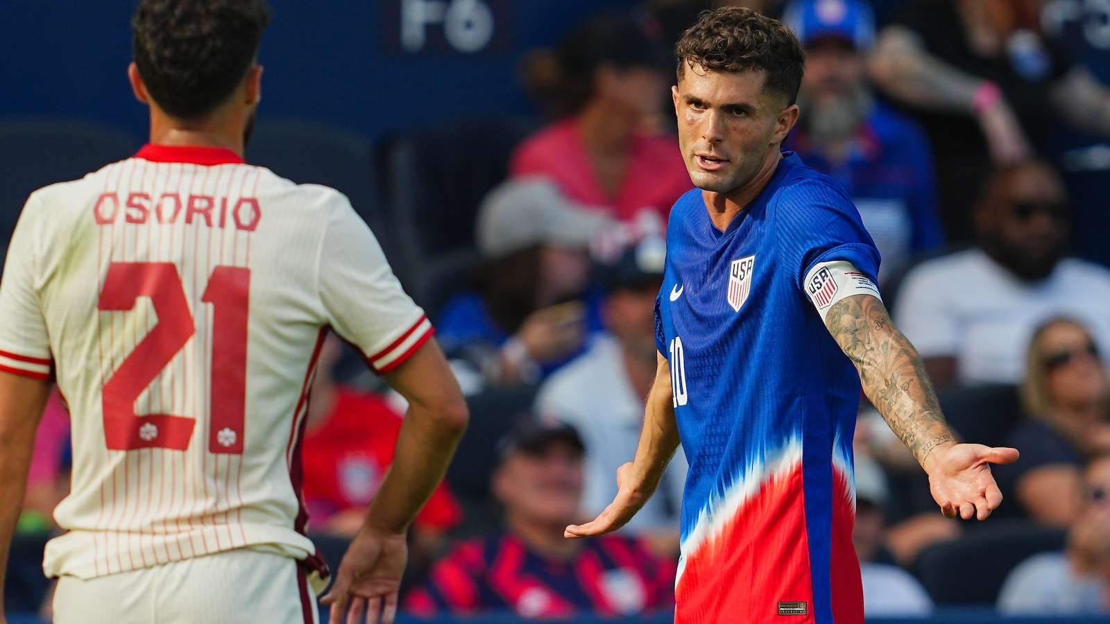 赛事的观众 赛事的观众