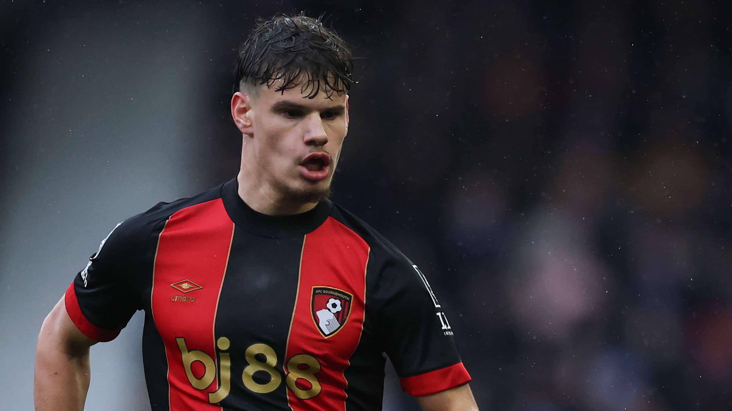 迅速展现出 迅速展现出